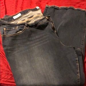 Torrid Jean